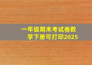 一年级期末考试卷数学下册可打印2025