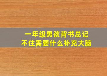 一年级男孩背书总记不住需要什么补充大脑