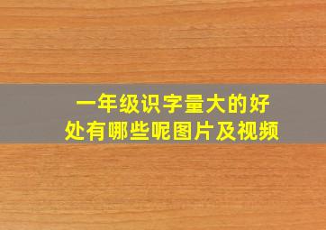 一年级识字量大的好处有哪些呢图片及视频