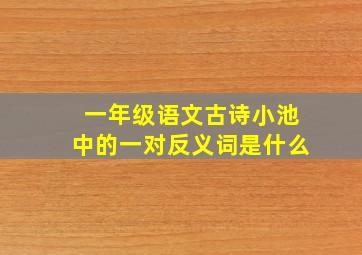 一年级语文古诗小池中的一对反义词是什么