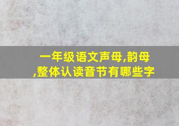 一年级语文声母,韵母,整体认读音节有哪些字