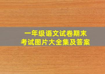 一年级语文试卷期末考试图片大全集及答案