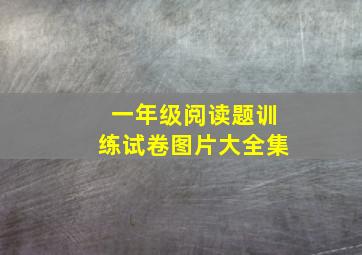 一年级阅读题训练试卷图片大全集