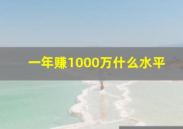 一年赚1000万什么水平