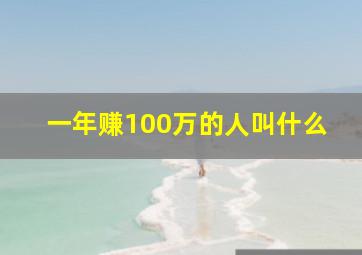 一年赚100万的人叫什么