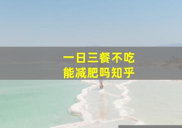 一日三餐不吃能减肥吗知乎