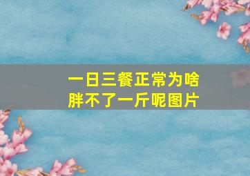 一日三餐正常为啥胖不了一斤呢图片