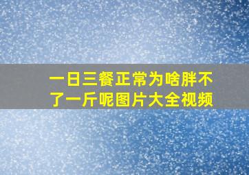 一日三餐正常为啥胖不了一斤呢图片大全视频