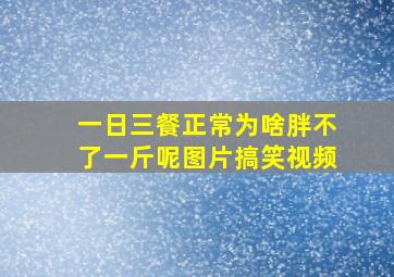 一日三餐正常为啥胖不了一斤呢图片搞笑视频