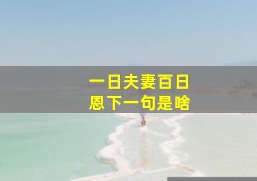 一日夫妻百日恩下一句是啥