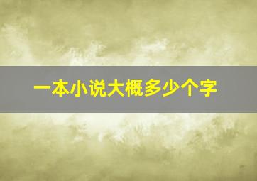 一本小说大概多少个字