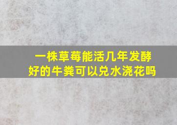 一株草莓能活几年发酵好的牛粪可以兑水浇花吗