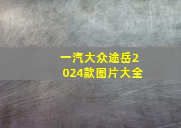 一汽大众途岳2024款图片大全