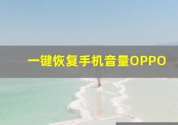 一键恢复手机音量OPPO