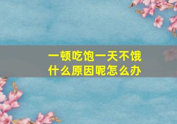 一顿吃饱一天不饿什么原因呢怎么办