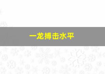 一龙搏击水平