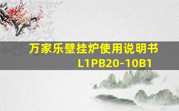 万家乐壁挂炉使用说明书L1PB20-10B1