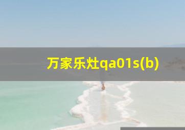 万家乐灶qa01s(b)