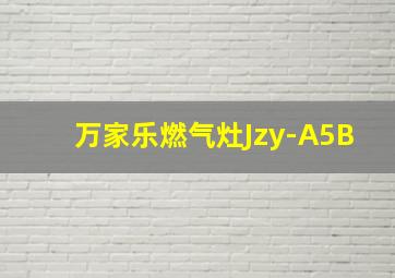 万家乐燃气灶Jzy-A5B