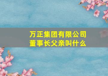 万正集团有限公司董事长父亲叫什么