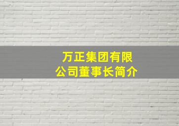 万正集团有限公司董事长简介