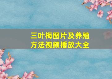 三叶梅图片及养殖方法视频播放大全