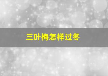 三叶梅怎样过冬