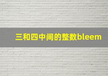 三和四中间的整数bleem