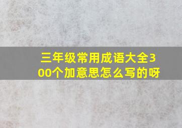 三年级常用成语大全300个加意思怎么写的呀