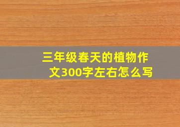 三年级春天的植物作文300字左右怎么写