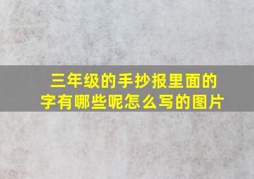 三年级的手抄报里面的字有哪些呢怎么写的图片