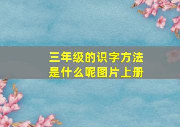 三年级的识字方法是什么呢图片上册