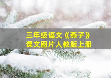 三年级语文《燕子》课文图片人教版上册