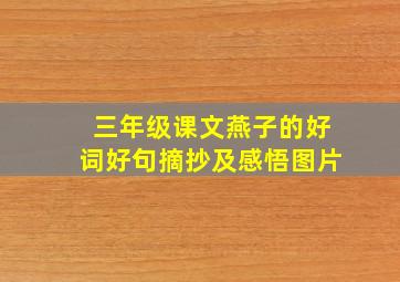 三年级课文燕子的好词好句摘抄及感悟图片