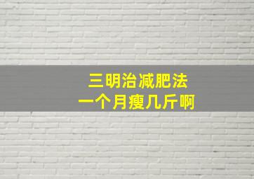 三明治减肥法一个月瘦几斤啊