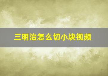 三明治怎么切小块视频