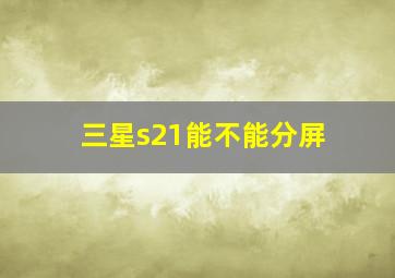 三星s21能不能分屏