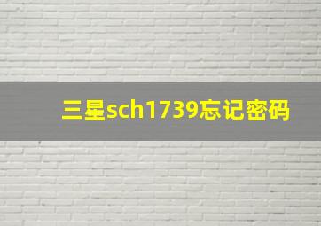 三星sch1739忘记密码