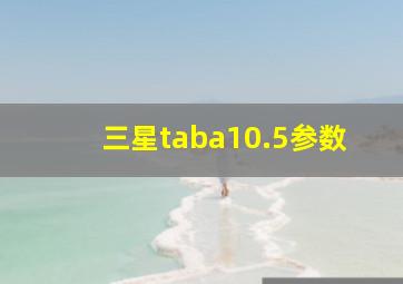 三星taba10.5参数