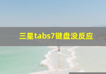 三星tabs7键盘没反应