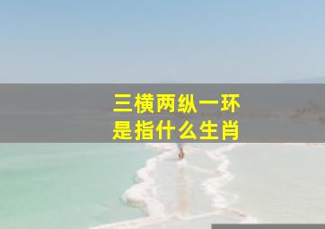 三横两纵一环是指什么生肖