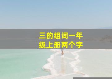 三的组词一年级上册两个字