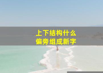 上下结构什么偏旁组成新字