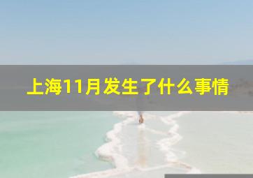 上海11月发生了什么事情