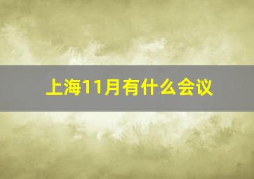 上海11月有什么会议