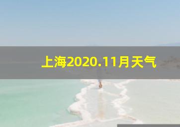 上海2020.11月天气