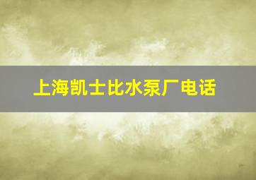 上海凯士比水泵厂电话