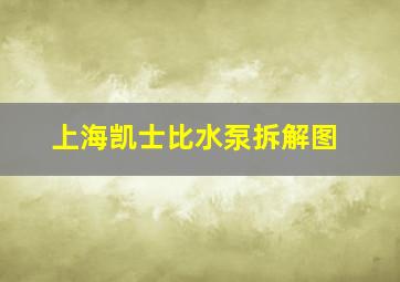 上海凯士比水泵拆解图