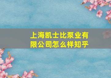 上海凯士比泵业有限公司怎么样知乎