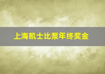 上海凯士比泵年终奖金